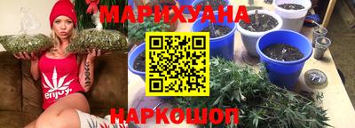 jwh Нальчик